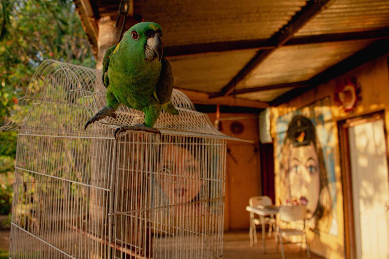 EsquipulasLa Casa Del Artista公寓 外观 照片